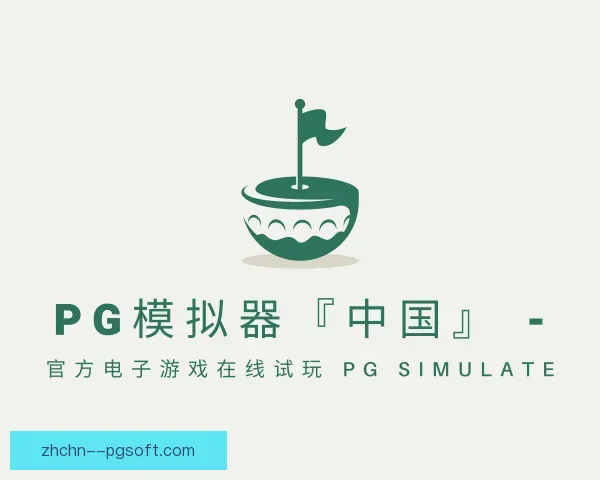 认识PG模拟器